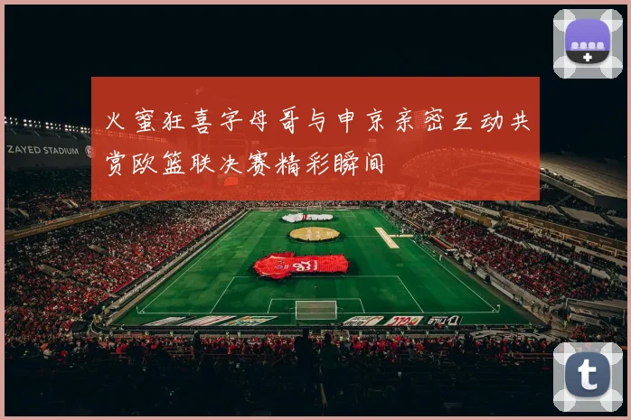 火蜜狂喜字母哥与申京亲密互动共赏欧篮联决赛精彩瞬间
