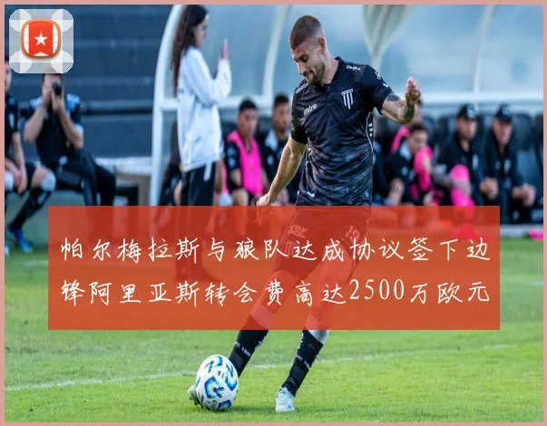 帕尔梅拉斯与狼队达成协议签下边锋阿里亚斯转会费高达2500万欧元